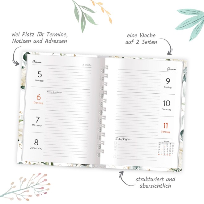 Learning Resources Kalender & Wetter-Taschenplan – 136-teiliges Klassenzimmer-Set, 80x112 Cm, Ab 3 Jahre