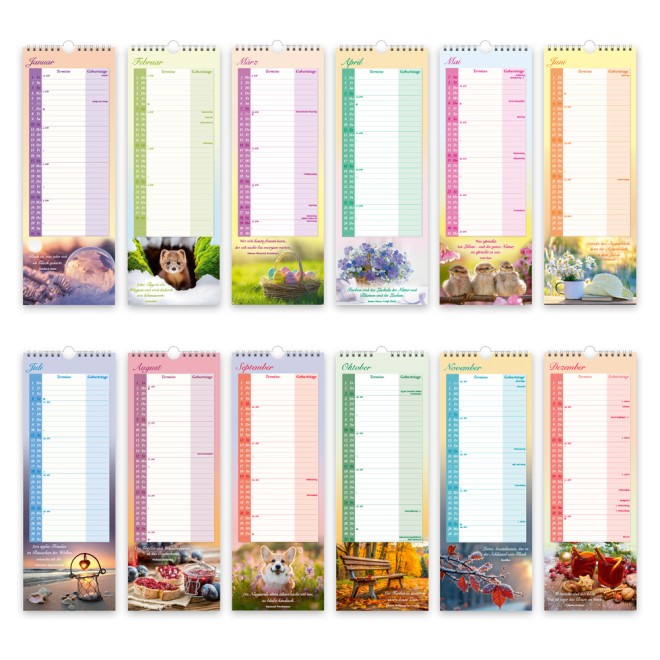 Maxi-Streifenkalender Omas Kalender 2027