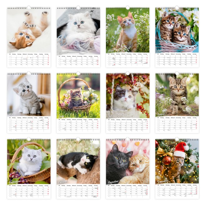 Classickalender Liebste Katzen 2027