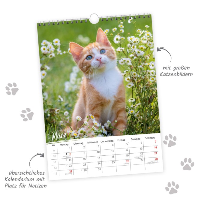 Classickalender Liebste Katzen 2027