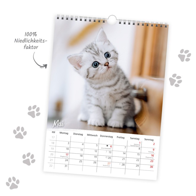 Classickalender Liebste Katzen 2027