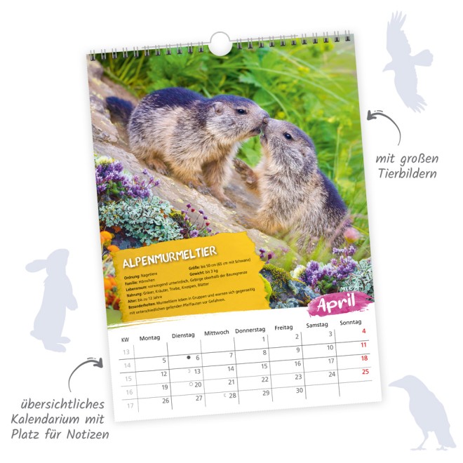 Classickalender Heimische Tierwelt 2027