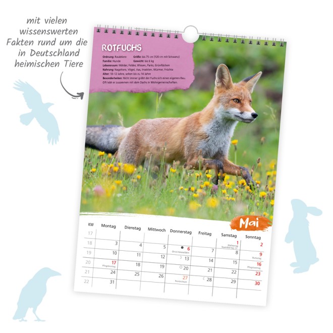 Classickalender Heimische Tierwelt 2027