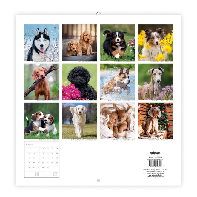 Broschürenkalender Hunde 2027