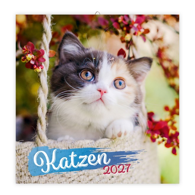 Broschürenkalender Katzen 2027