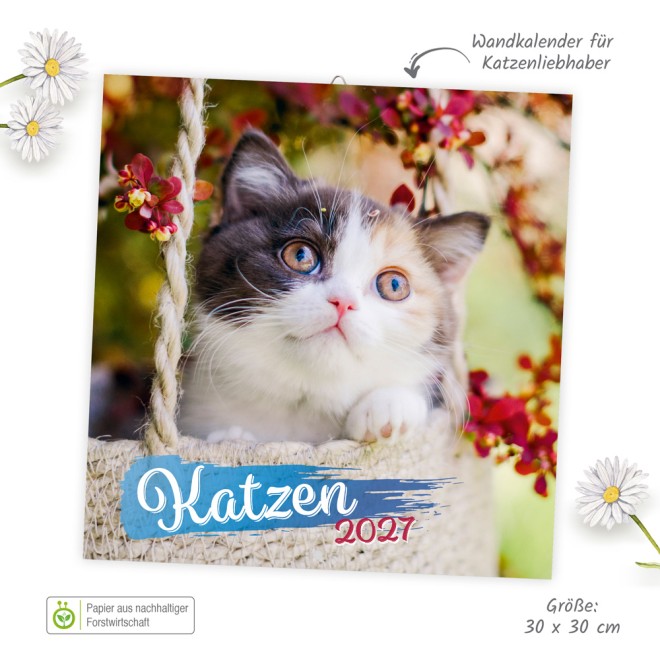 Broschürenkalender Katzen 2027