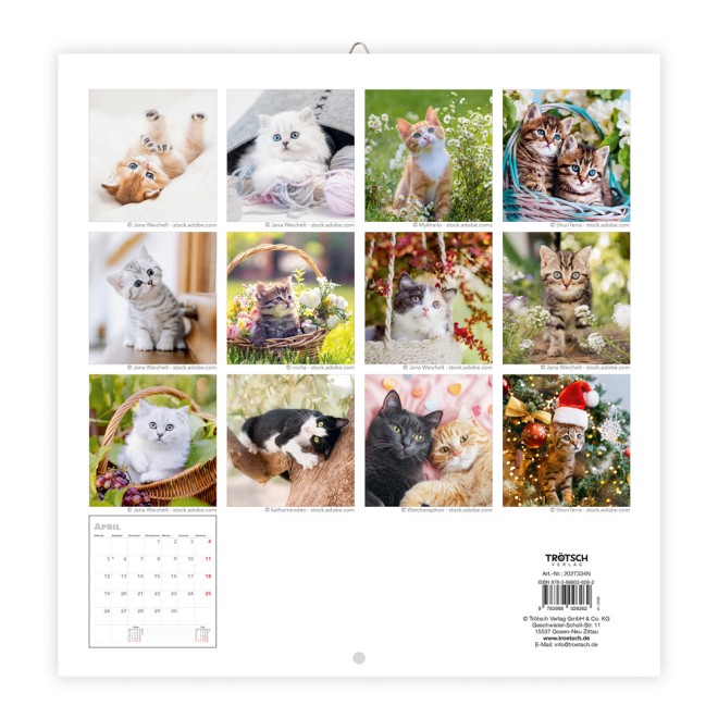 Broschürenkalender Katzen 2027