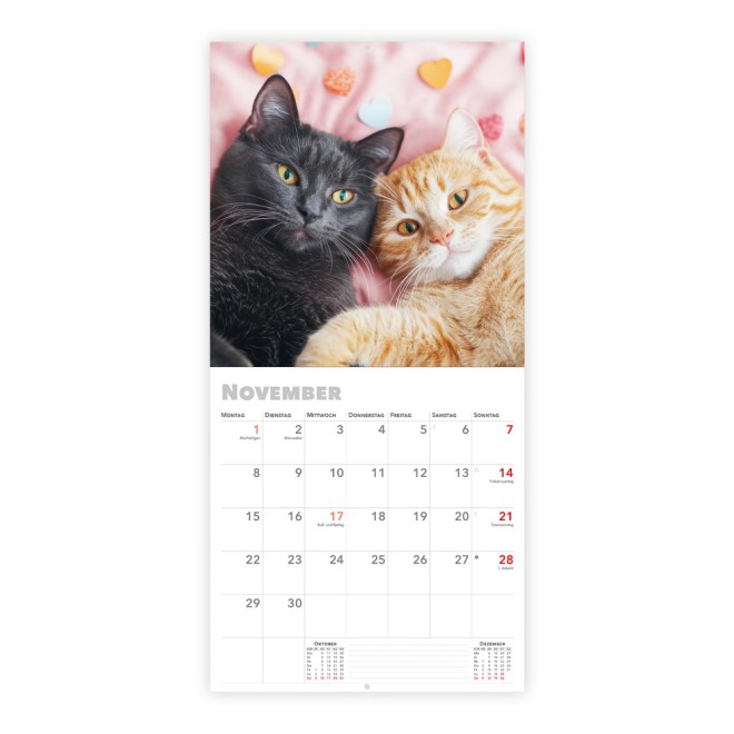 Broschürenkalender Katzen 2027