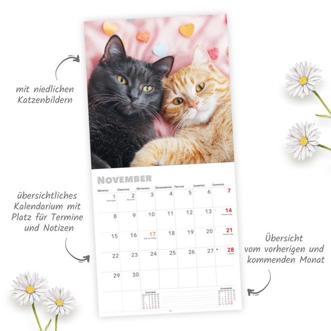 Broschürenkalender Katzen 2027