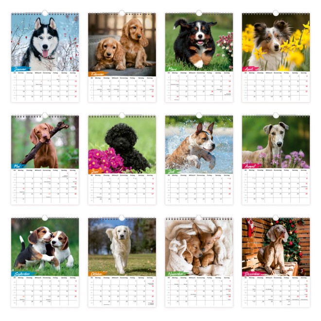 Notizkalender Hunde 2027