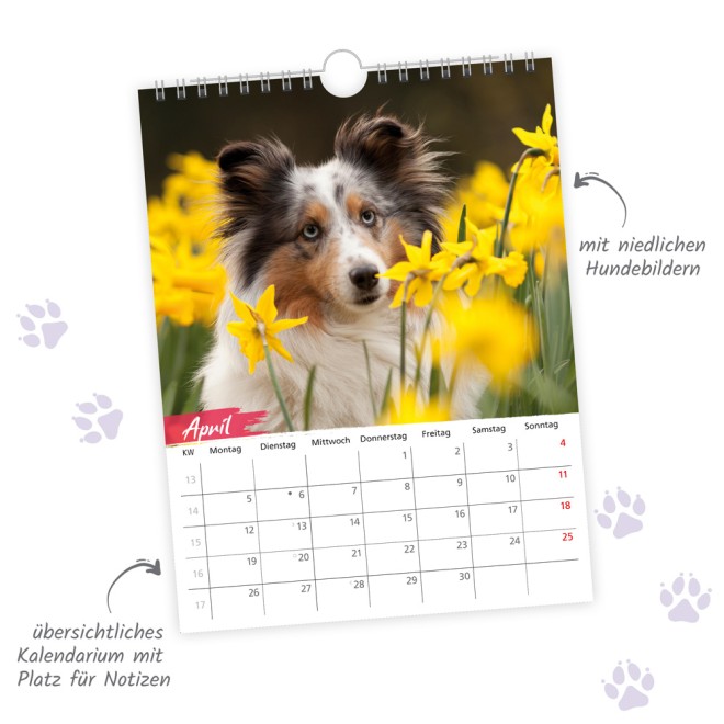 Notizkalender Hunde 2027