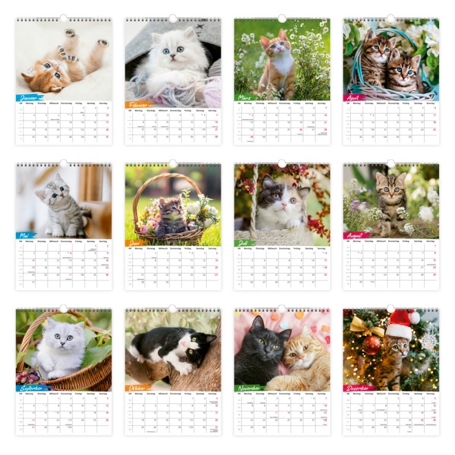 Notizkalender Katzen 2027