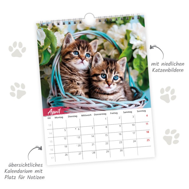 Notizkalender Katzen 2027