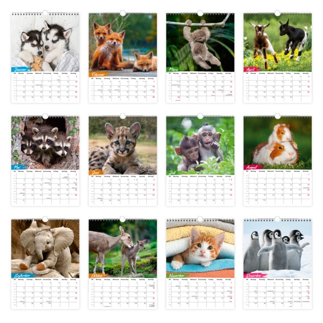 Notizkalender Tierkinder 2027