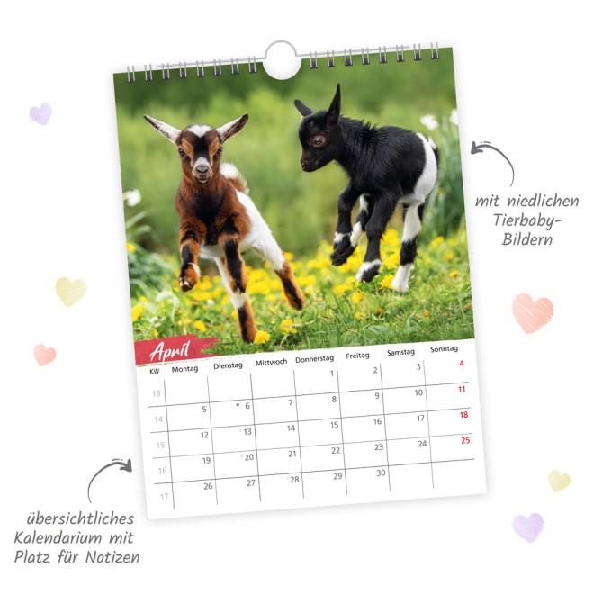 Notizkalender Tierkinder 2027
