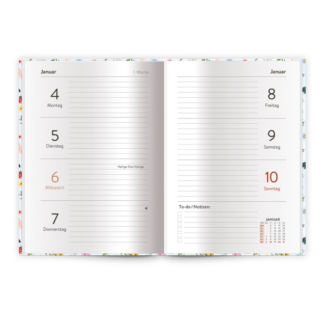 Taschenkalender A6 Marienkäfer 2027