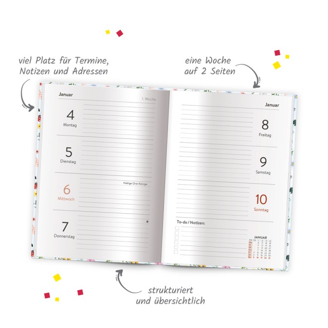 Taschenkalender A6 Marienkäfer 2027