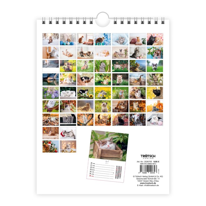 Wochenkalender zum Hängen Katzen 2027