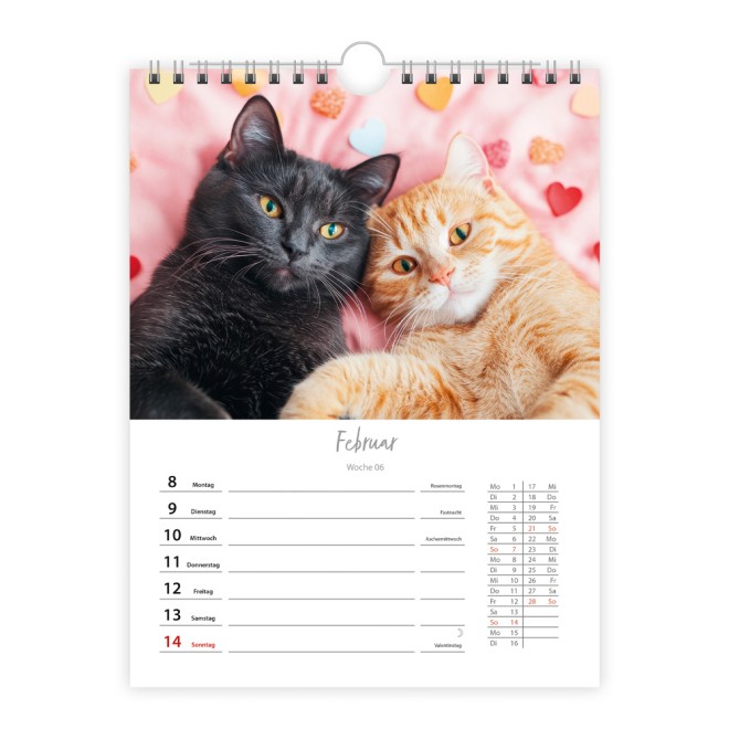 Wochenkalender zum Hängen Katzen 2027
