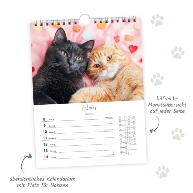 Wochenkalender zum Hängen Katzen 2027