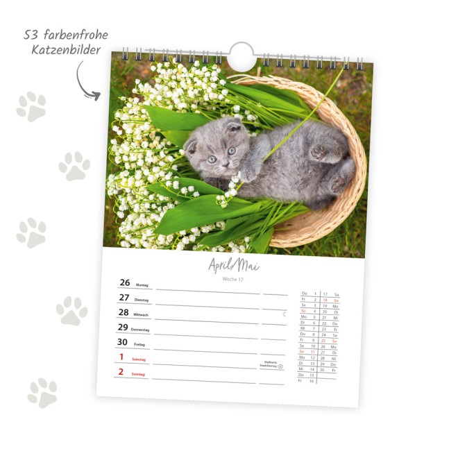 Wochenkalender zum Hängen Katzen 2027