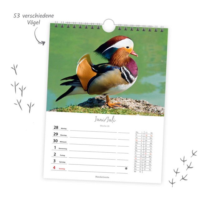 Wochenkalender zum Hängen Heimische Vögel 2027
