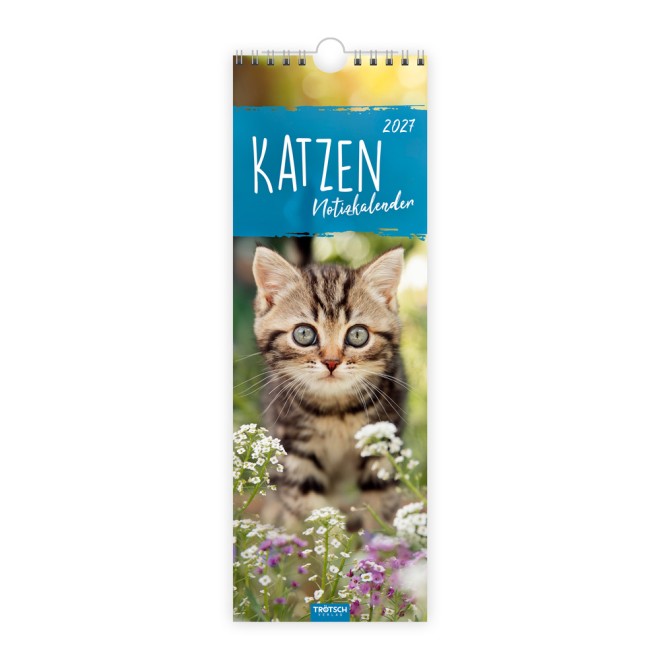 Streifenkalender Katzen 2027 Notizkalender