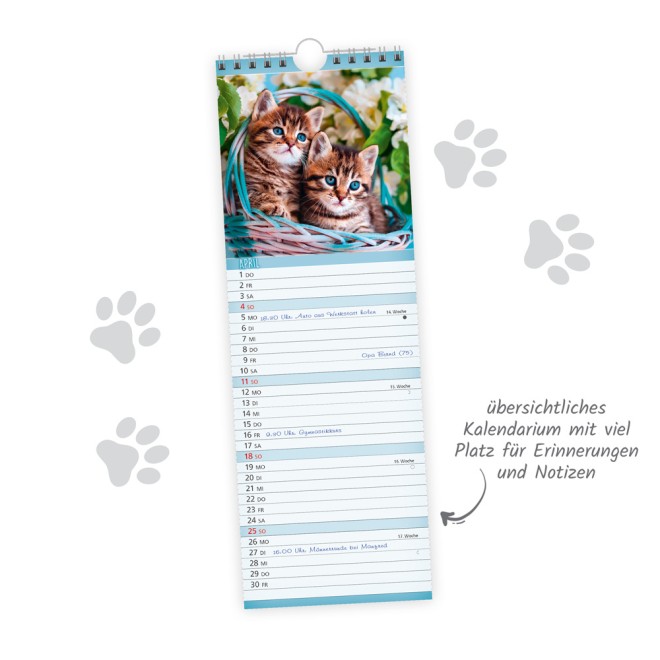 Streifenkalender Katzen 2027 Notizkalender