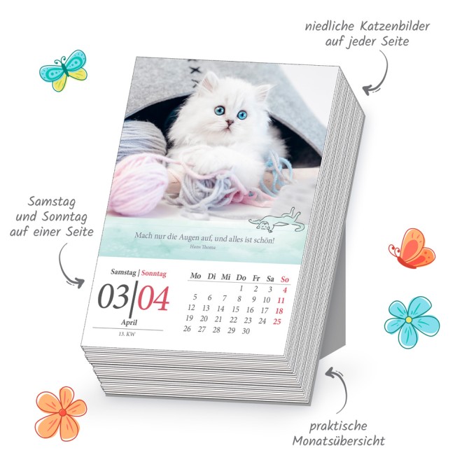 Abreißkalender Katzen 2027
