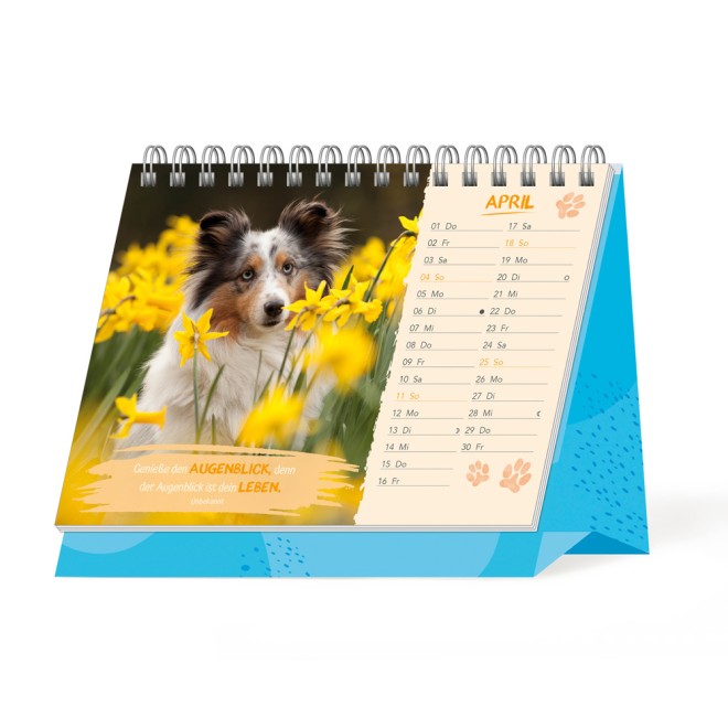 Aufstellkalender Glück auf vier Pfoten 2027