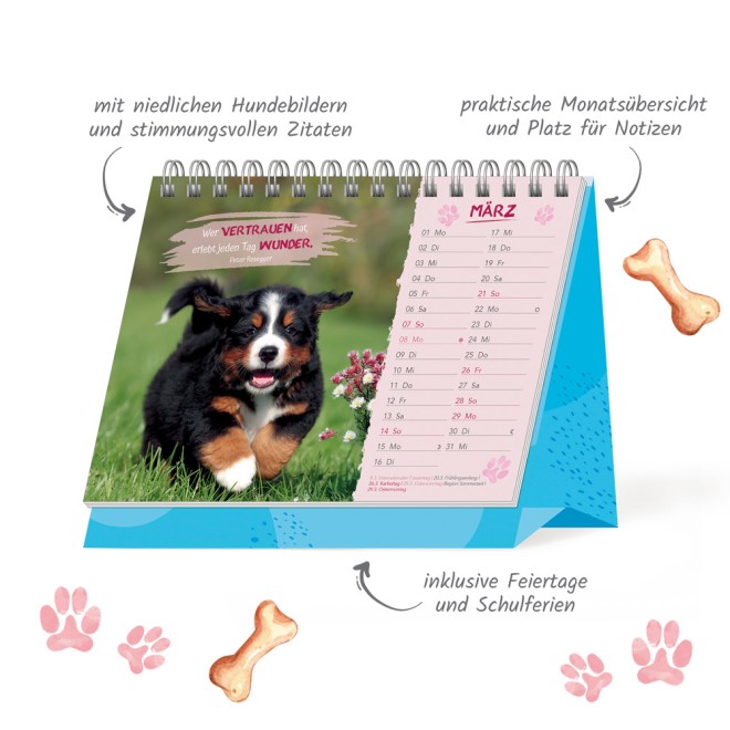 Aufstellkalender Glück auf vier Pfoten 2027