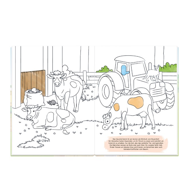 Malbuch Bauernhof mit Traktor