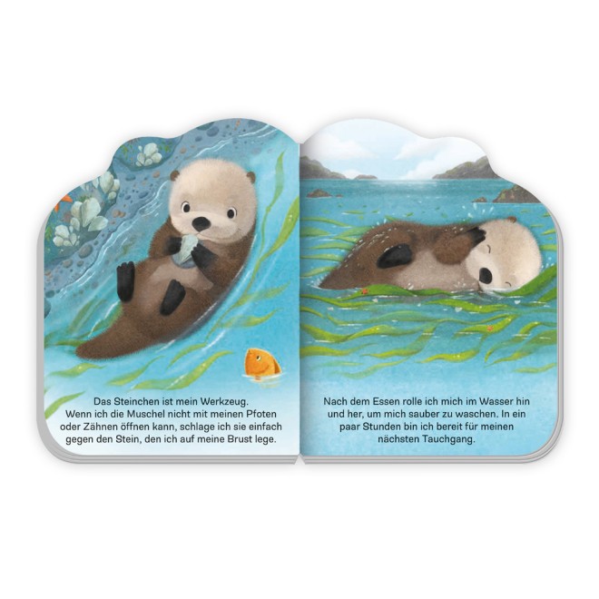 Der kleine Otter