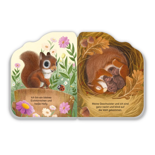 Das kleine Eichhörnchen