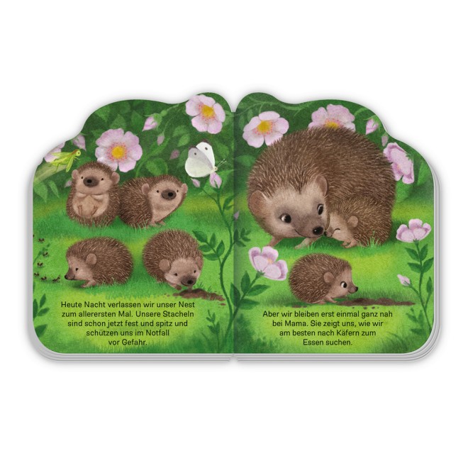 Der kleine Igel