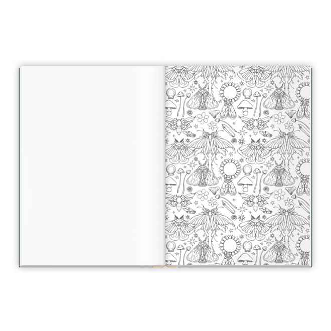 Malbuch Entspanntes Malen Zauberwald