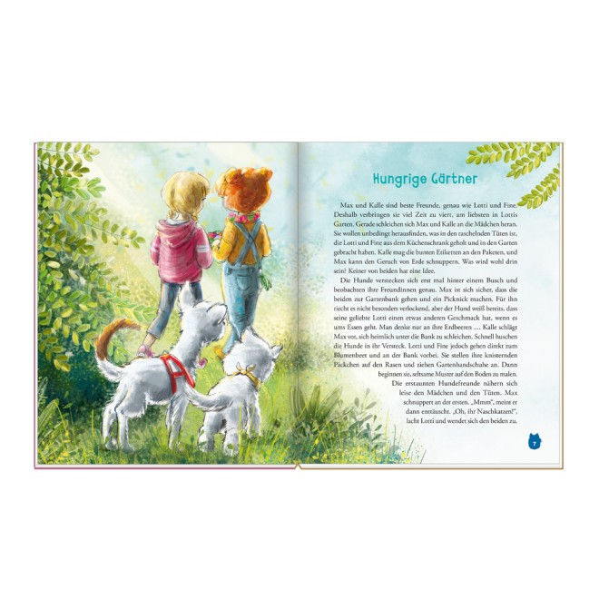 Vorlesebuch "Max , Geburtstag und andere Abenteuer"