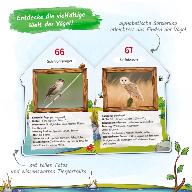 Wissensbuch "101 Heimische Vögel"