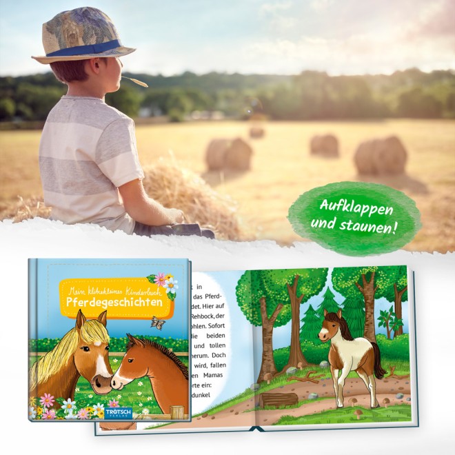 Mein klitzekleines Kinderbuch "Pferdegeschichte"