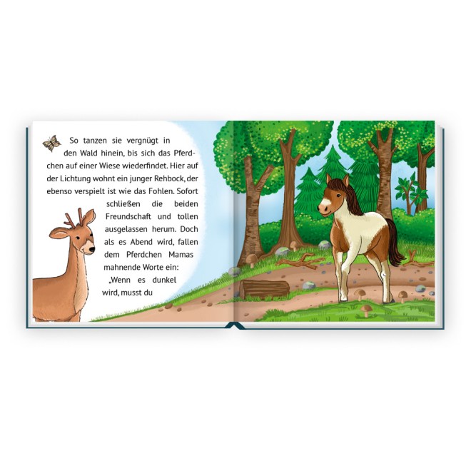 Mein klitzekleines Kinderbuch "Pferdegeschichte"