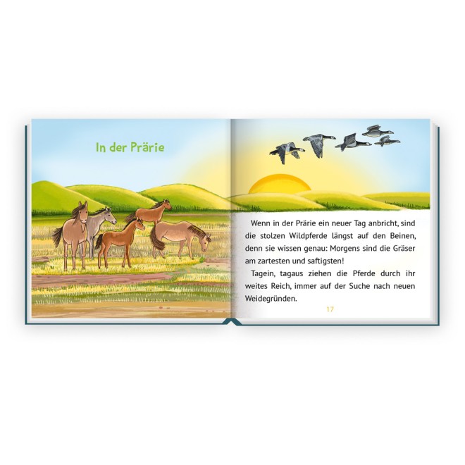 Mein klitzekleines Kinderbuch "Pferdegeschichte"