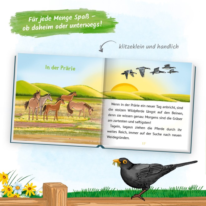 Mein klitzekleines Kinderbuch "Pferdegeschichte"