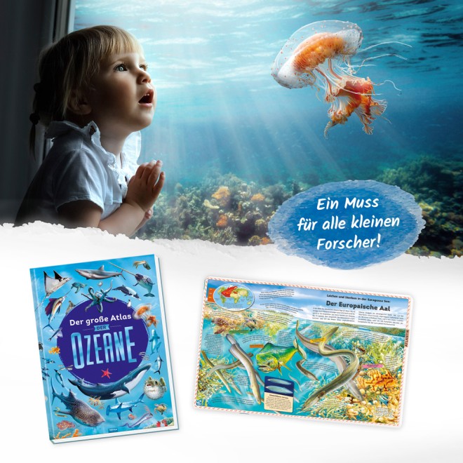 Der große Atlas der Ozeane