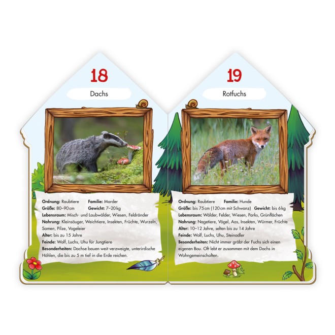 Wissensbuch "101 Heimische Tiere"