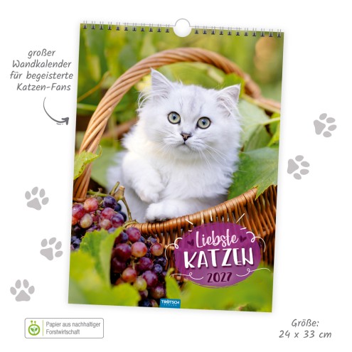Classickalender Liebste Katzen 2027