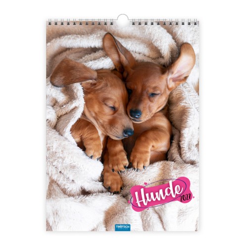 Classickalender Hunde 2027