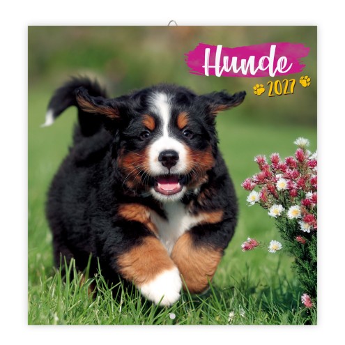 Broschürenkalender Hunde 2027