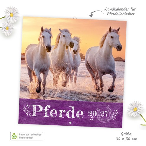 Broschürenkalender Pferde 2027