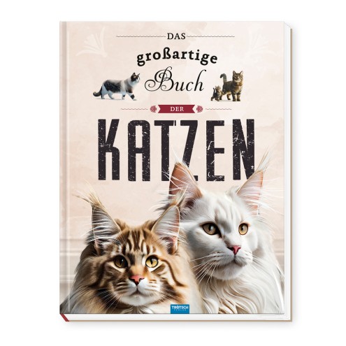Kinderbuch Das großartige Buch der Katzen