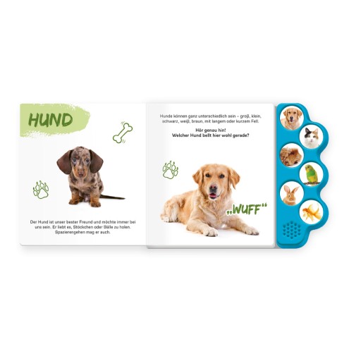 Soundbuch HAUSTIERE